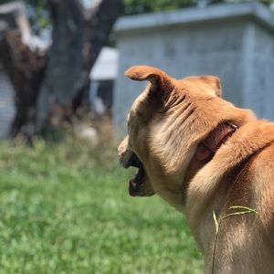 Meet your Posher, Jeffrey